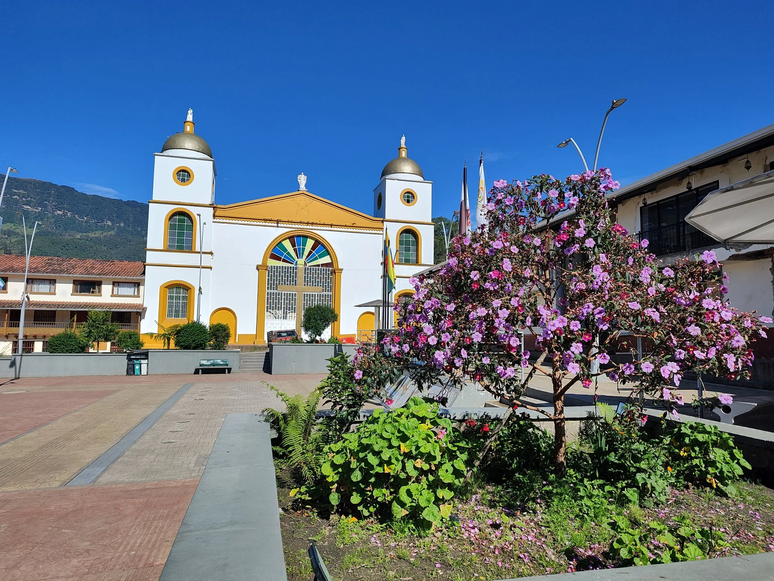 Imagen 2