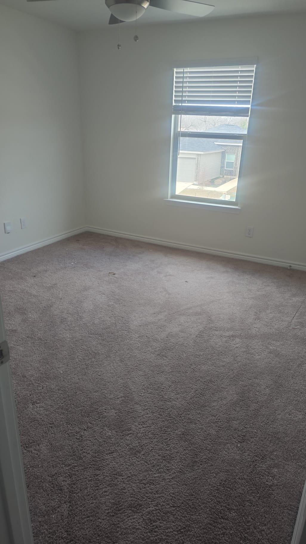 Carpet before vacuuming