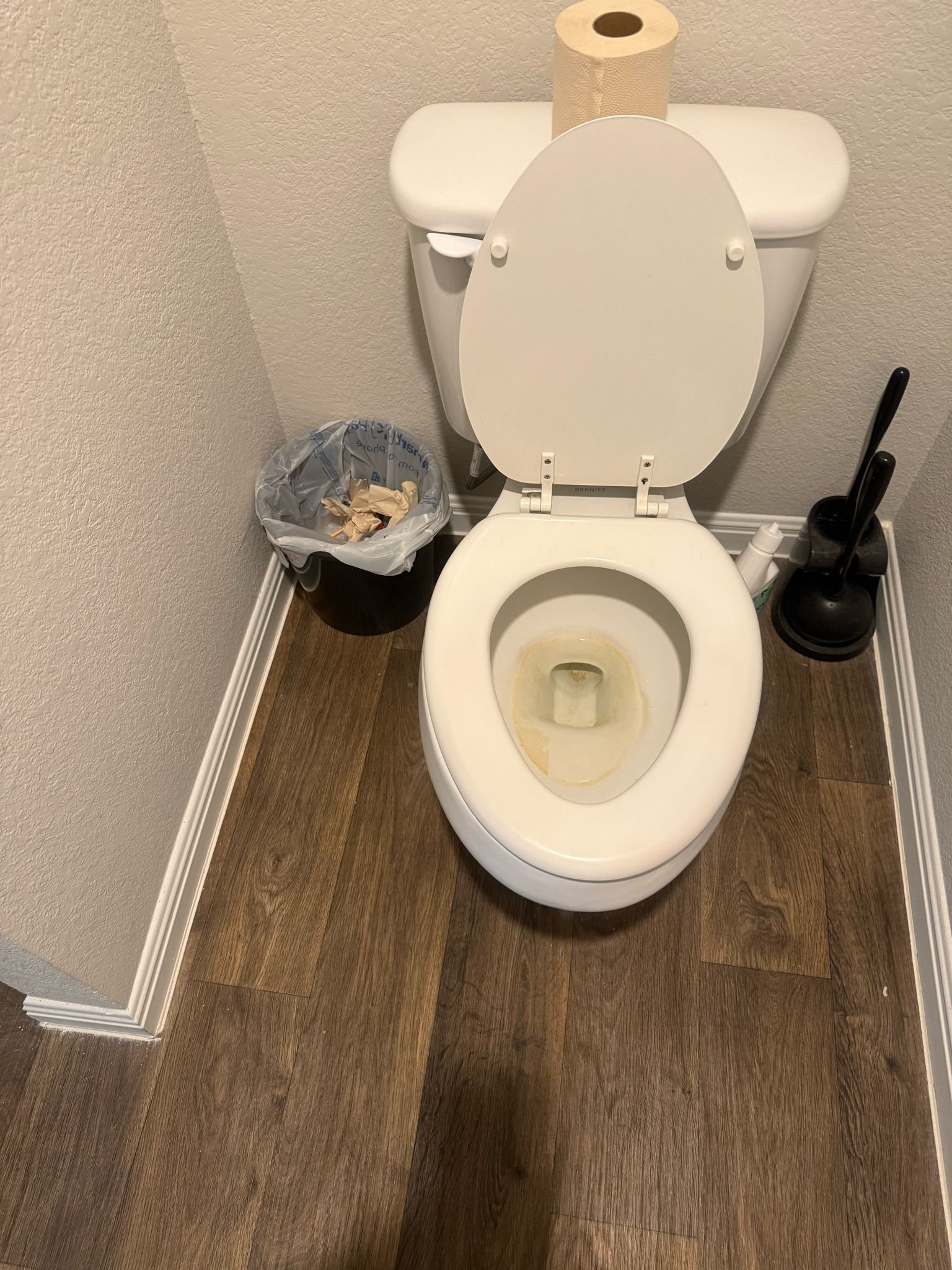 Dirty toilet before cleaning