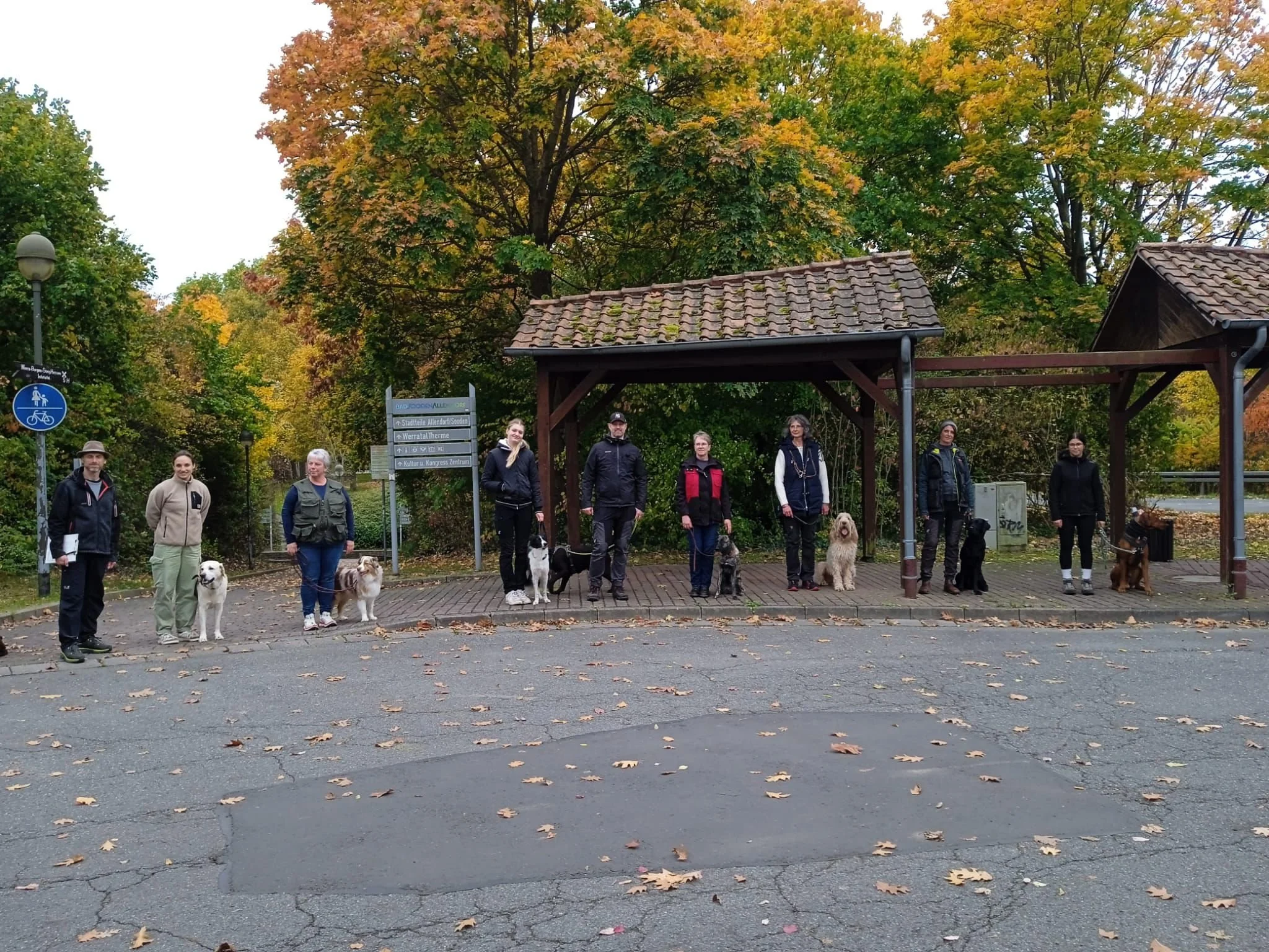 Begleithundeprüfung Doja
