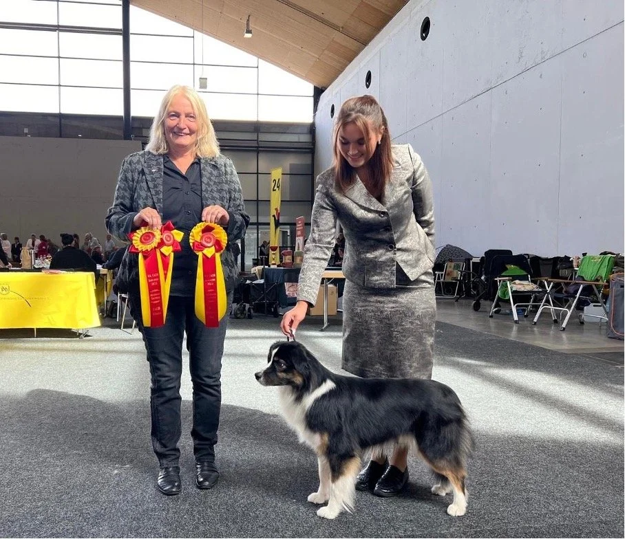 CACIB Karlsruhe 2024 – Samba