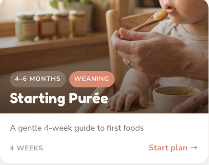 Meal Plans screen inside the Joyora app