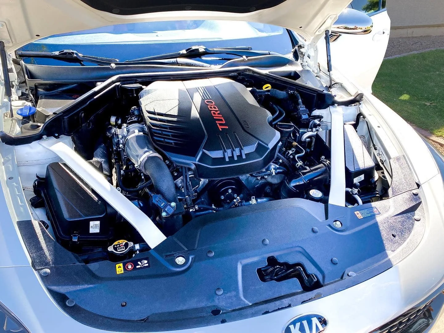 Luxury vehicle engine bay after professional detailing