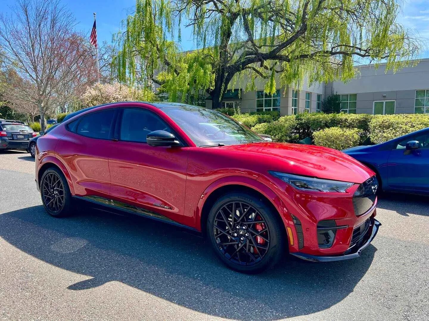 Ford Mustang paint correction before ceramic coating in Aventura