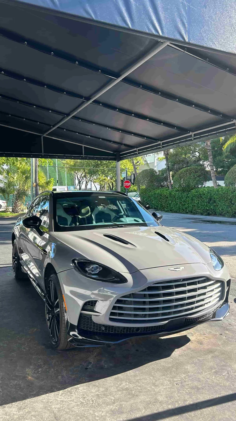 Machine polished paint correction result in South Florida