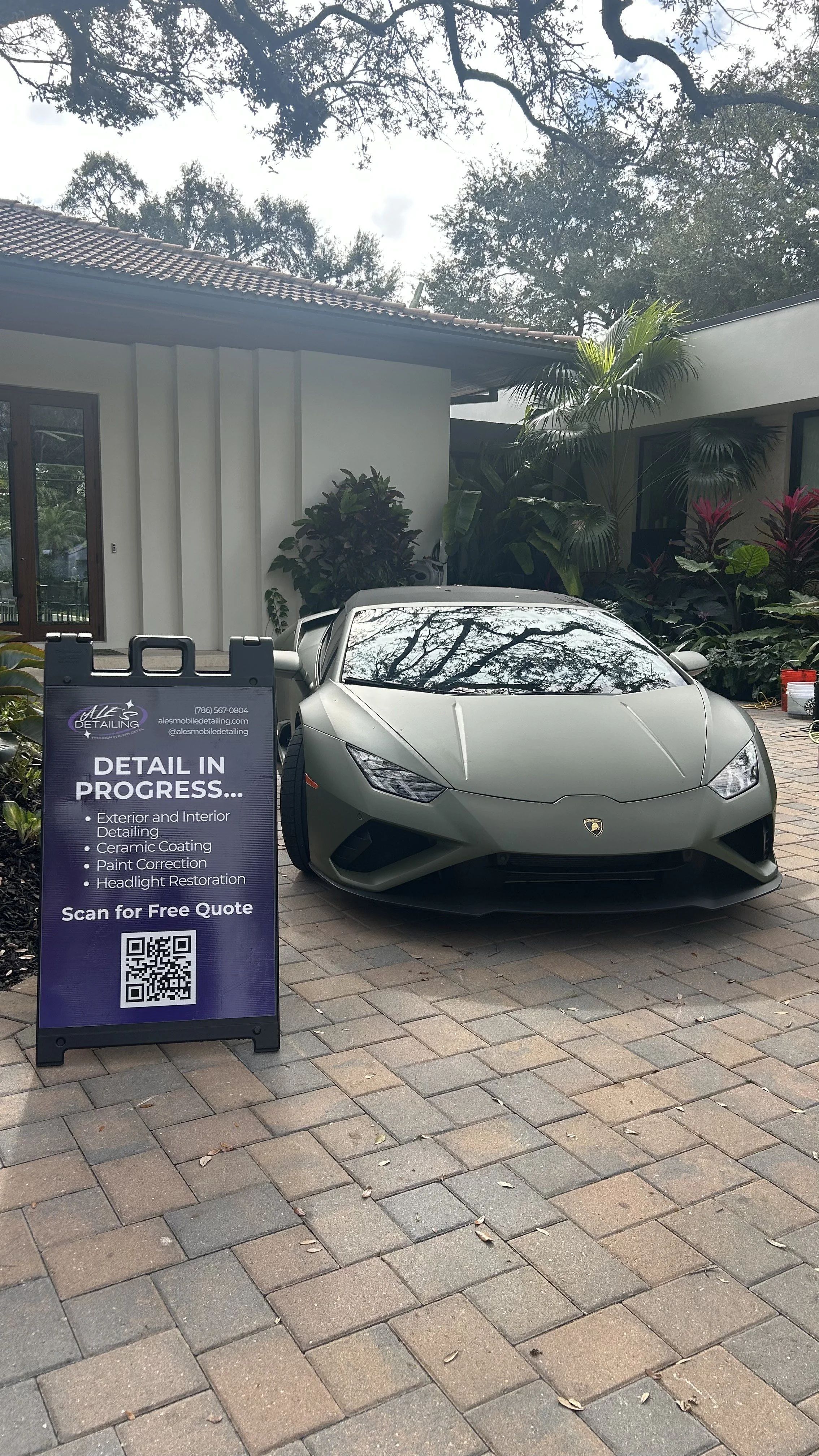 Pet hair removal Miami