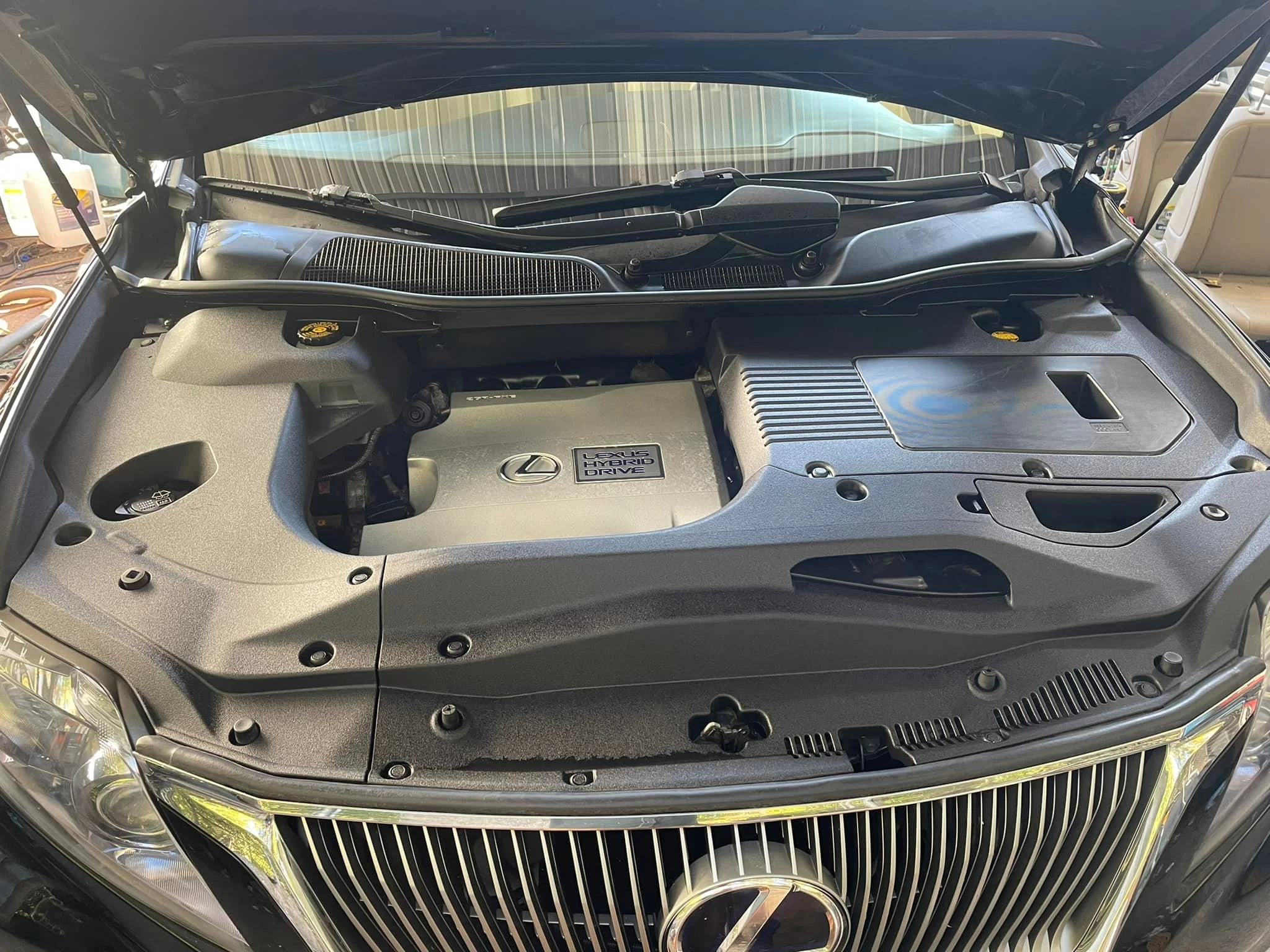 After engine bay detailing showing pristine engine