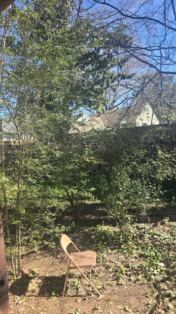 Outside cleanup before