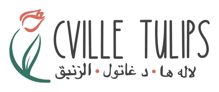 Cville Tulips