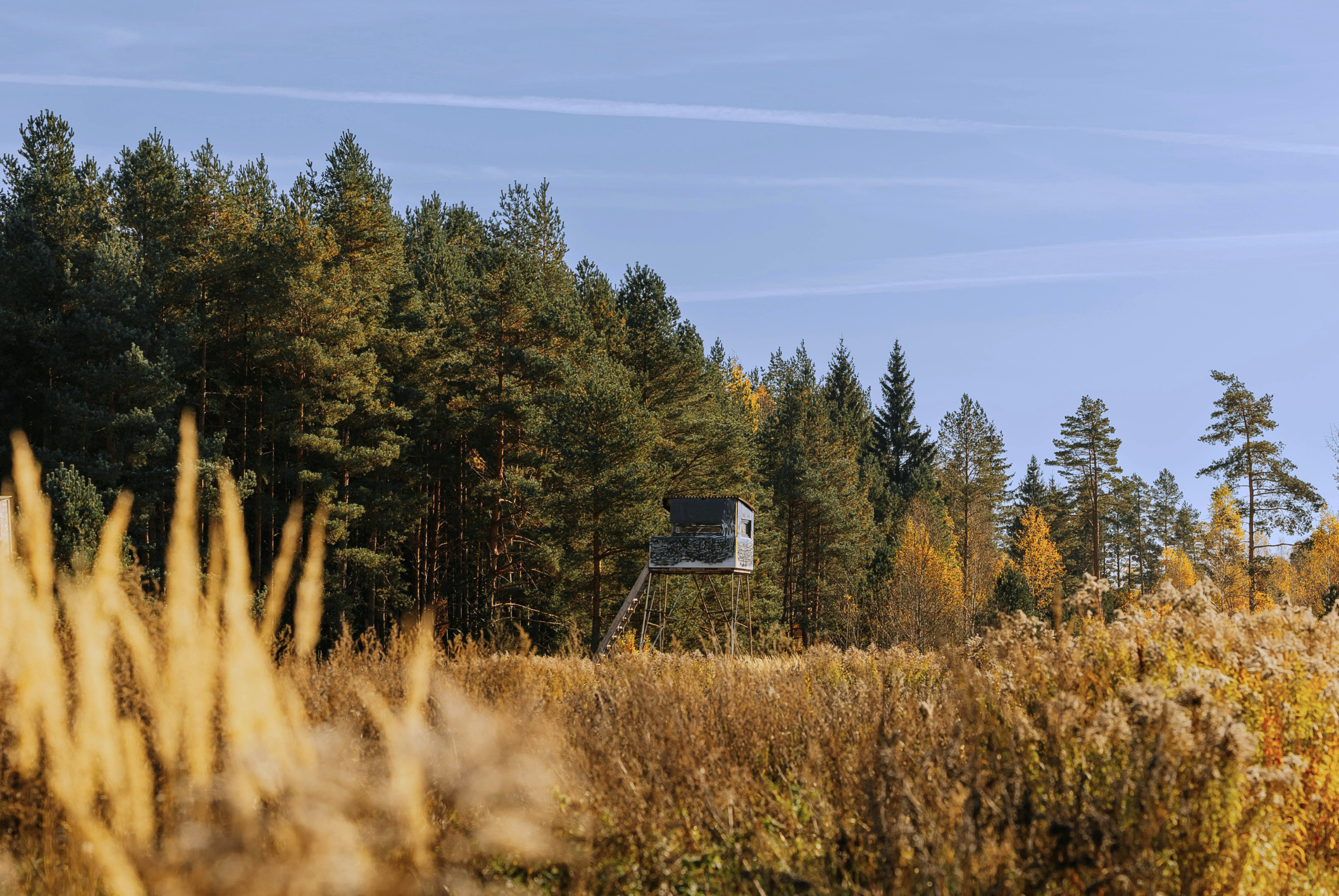 Recreational land property