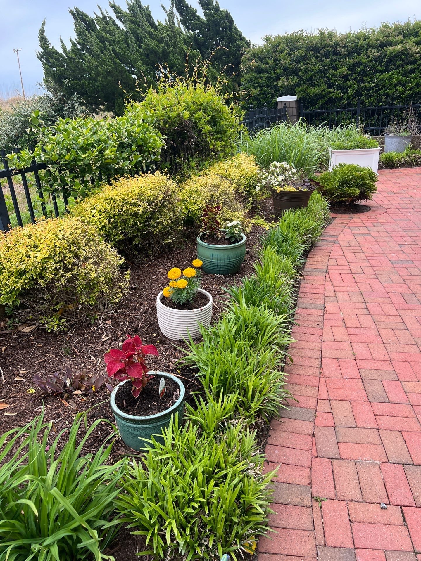 Spring at the Manhapra Residence &mdash; beds awakening with fresh growth