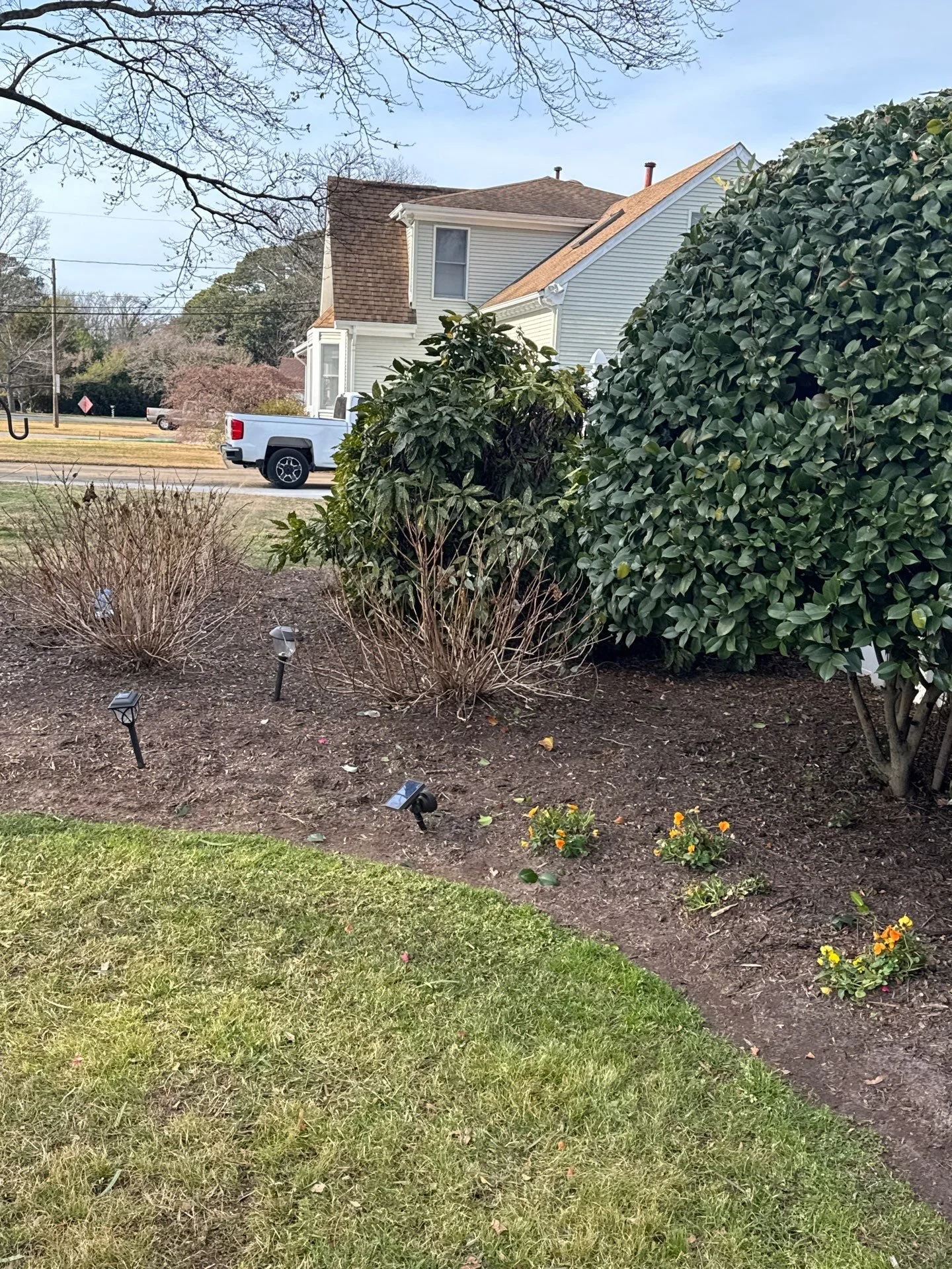 Winter at the Stephanitsis Residence &mdash; dormant property under stewardship care