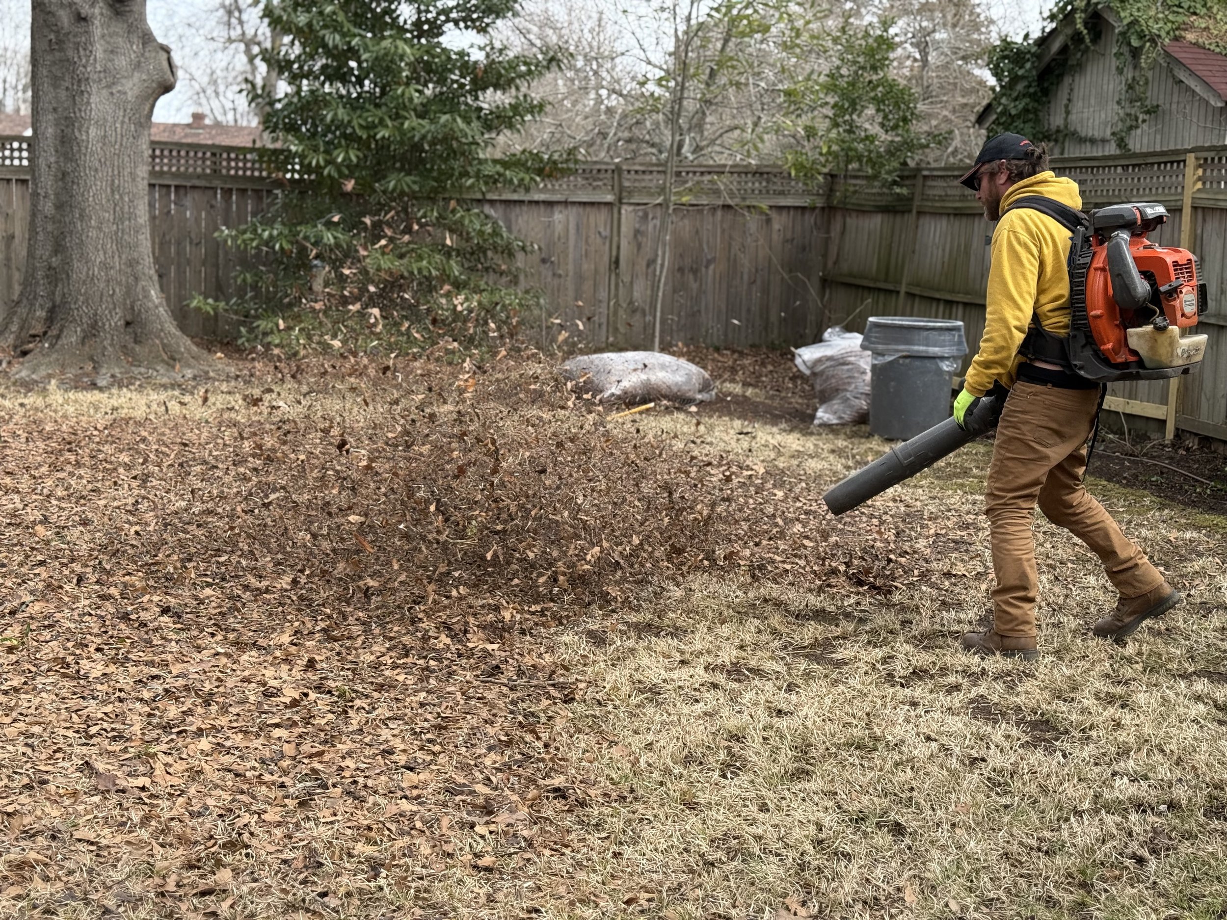 Fall season &mdash; landscape transitioning, leaves turning