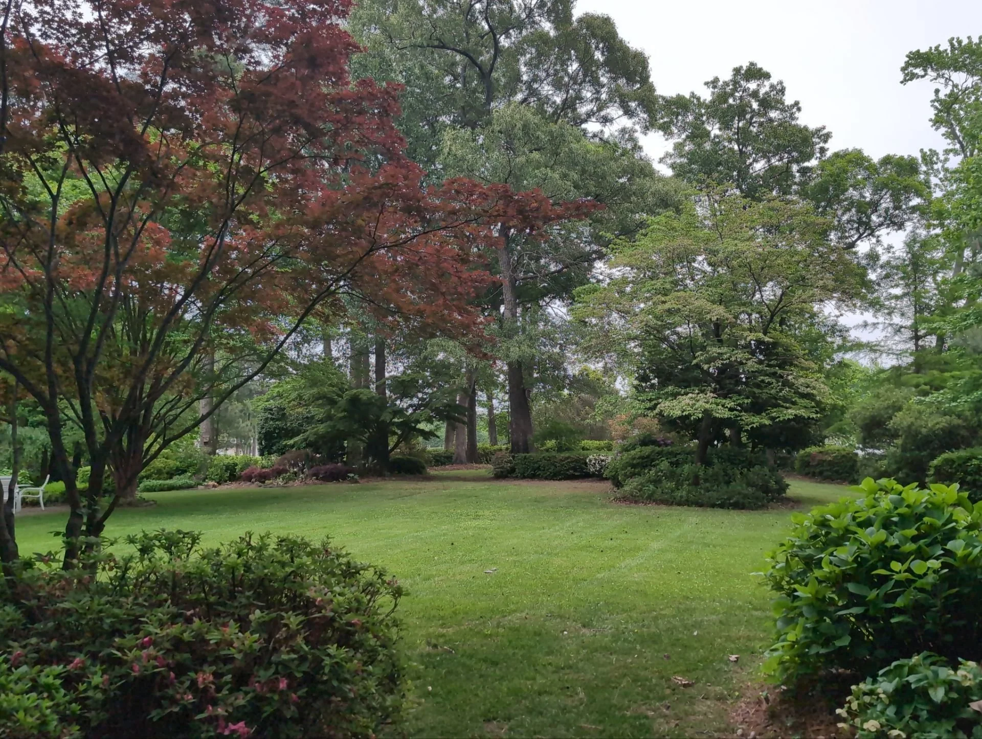 Summer at the Martha Baker Residence &mdash; landscape in peak season under stewardship care