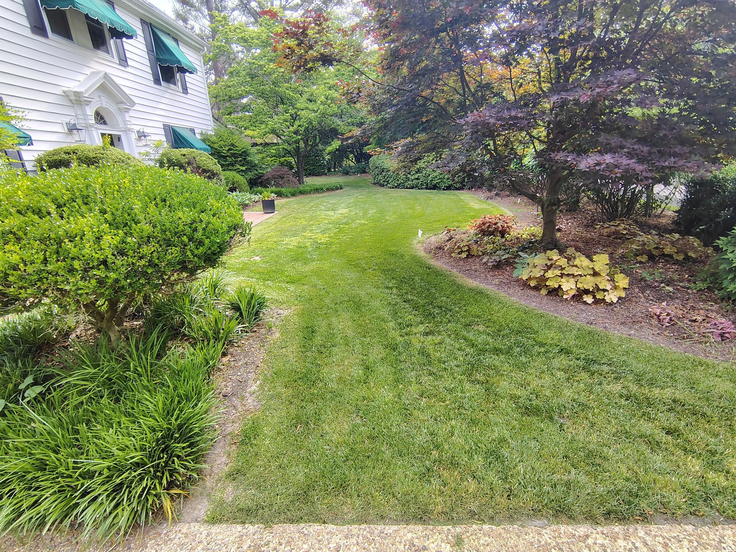 Fink Residence &mdash; established landscape under Gardens by Oz stewardship care