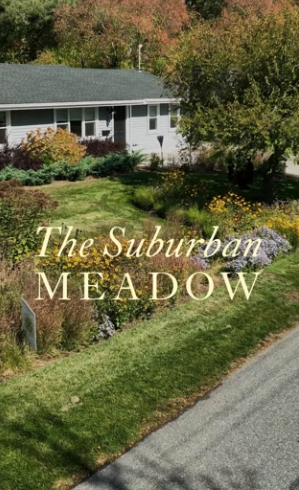 GABD Suburban Meadow