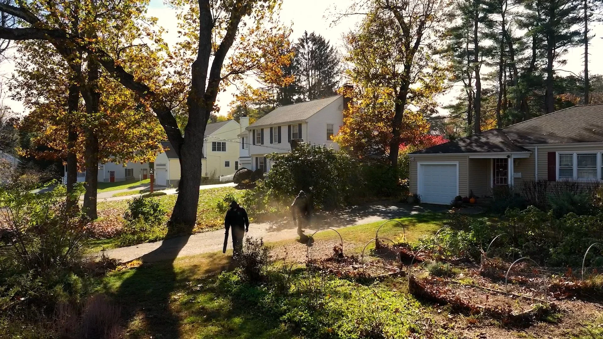 Green Abundance By Design
