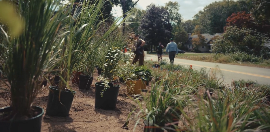 Green Abundance By Design