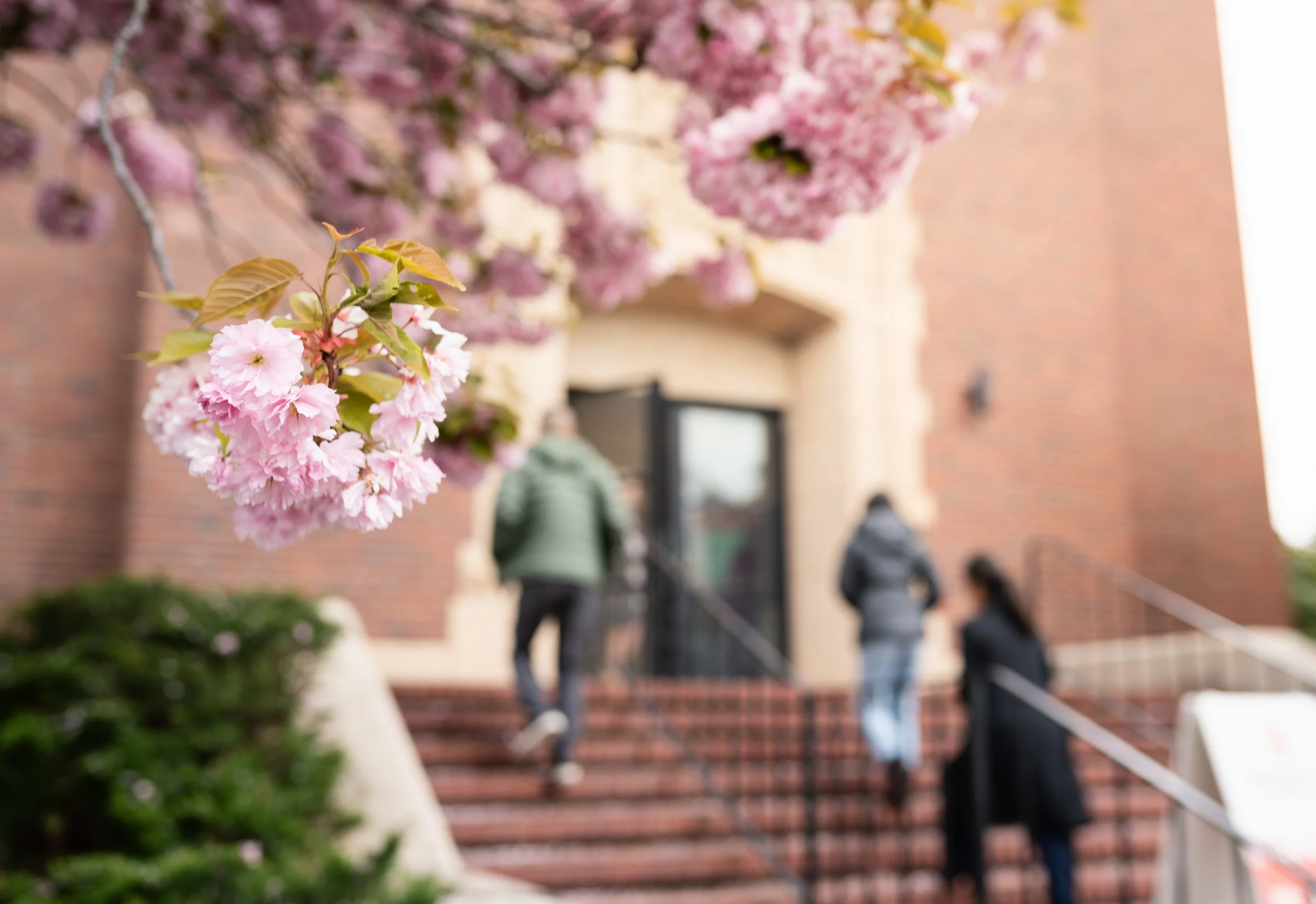 Entrance Flowers