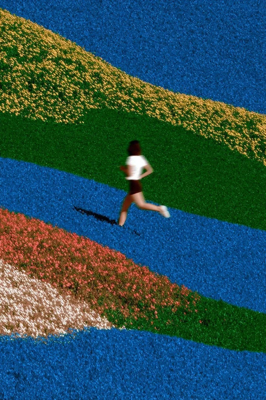 Someone running across bands of flowers and grass