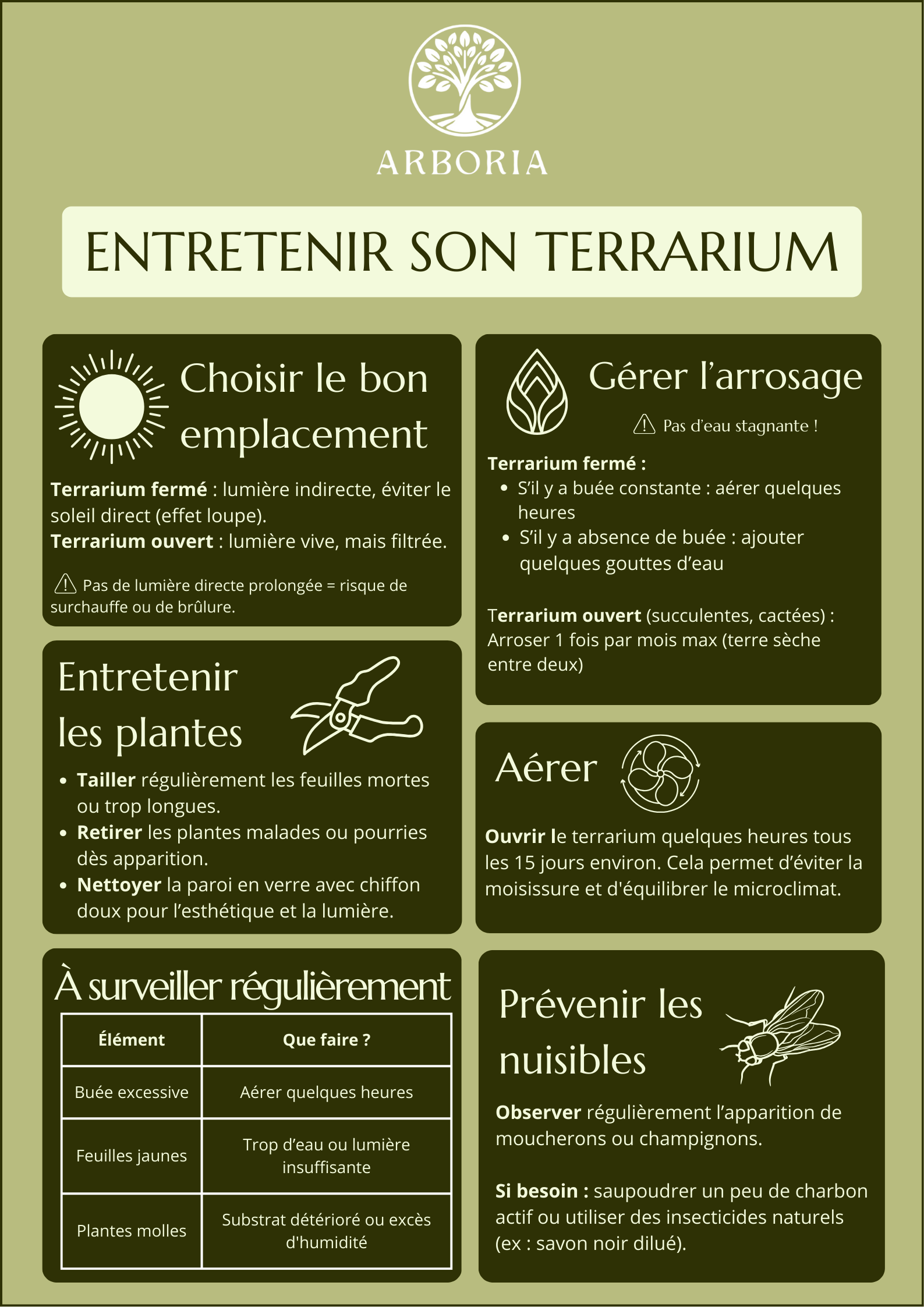Entretenir son terrarium - Arboria