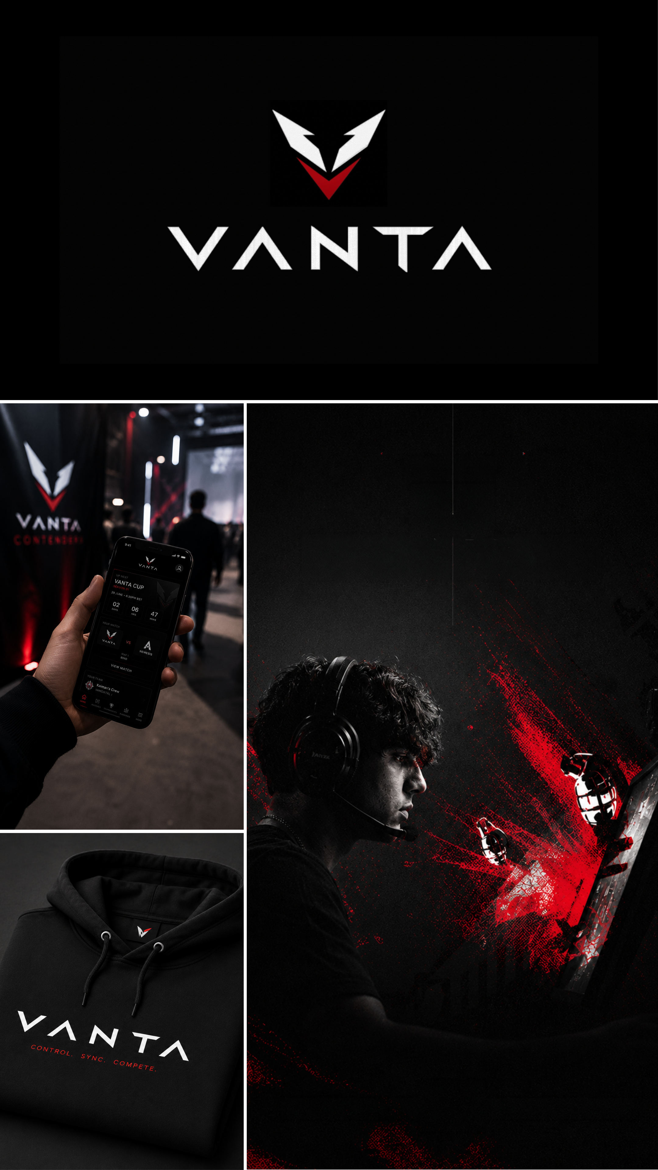 Vanta alternate view