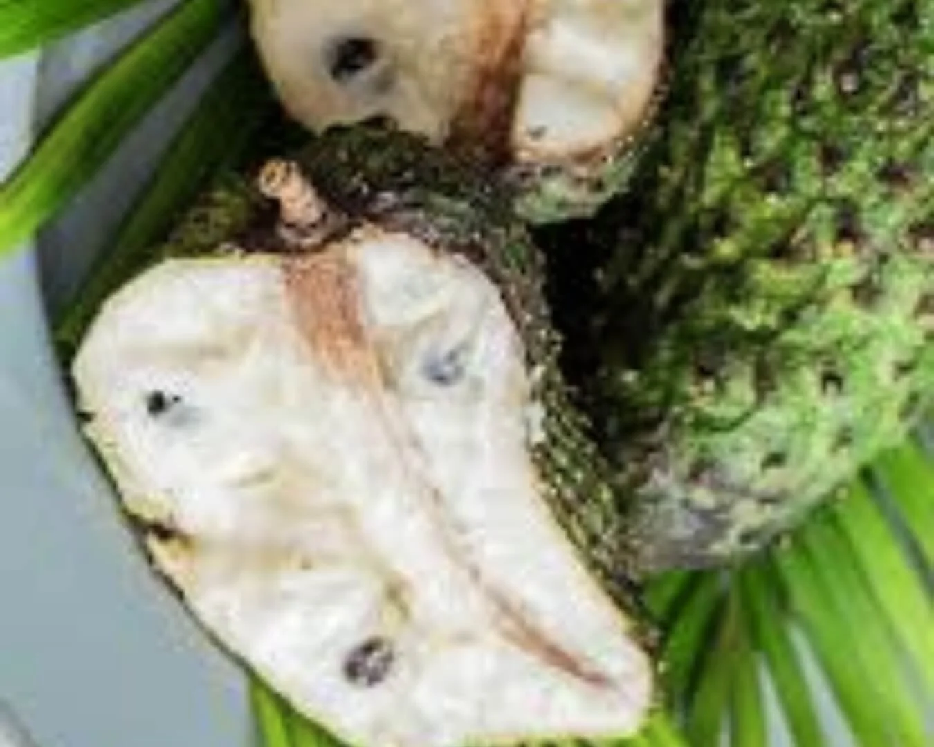 Soursop Renewal Poultice Ritual™ treatment photograph