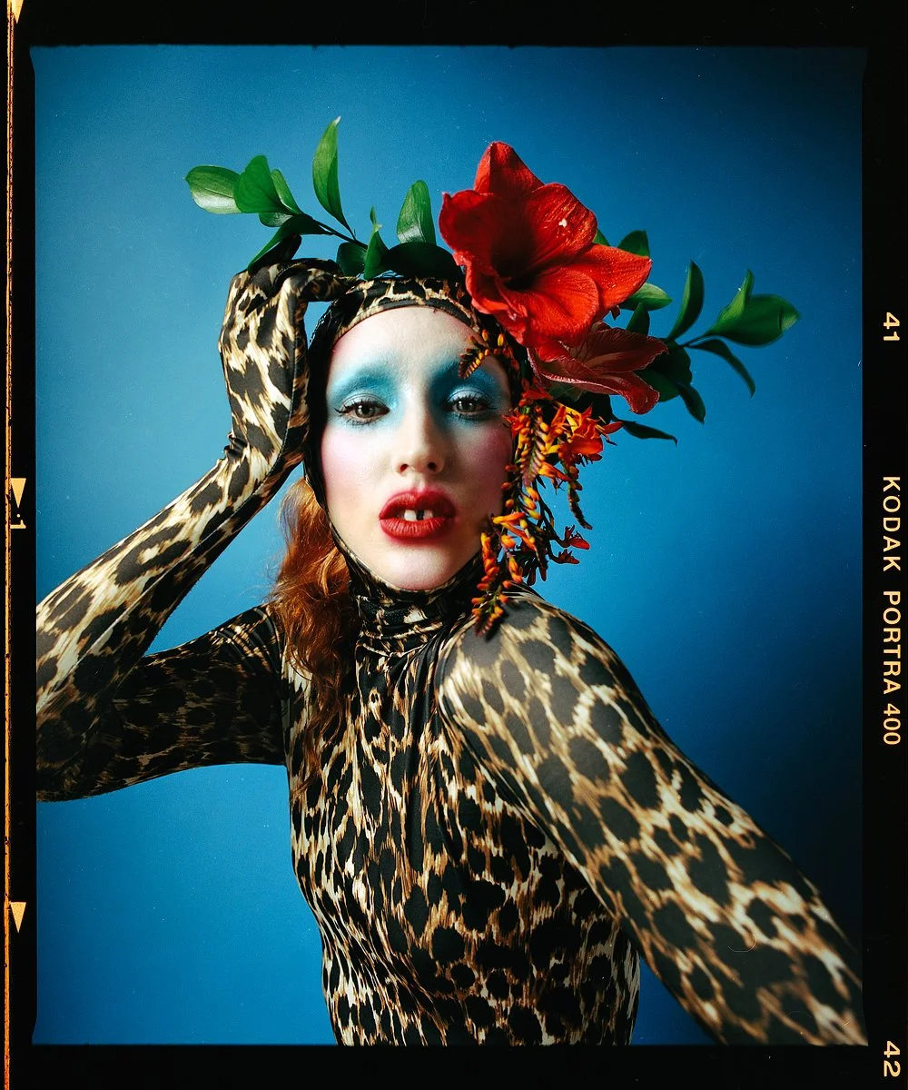 Drag portrait: Fancy Shews in leopard print with a red floral headpiece on blue.