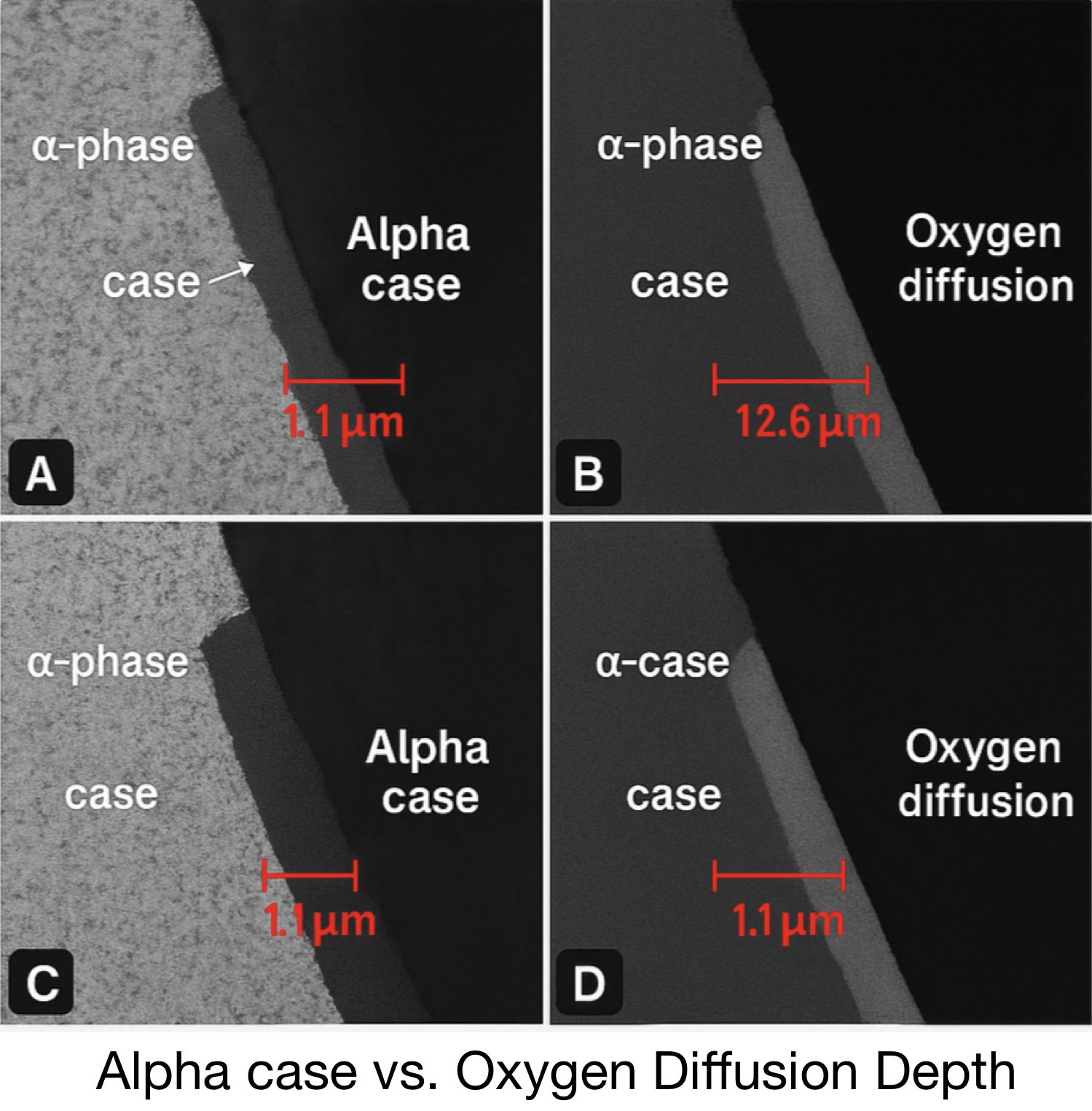 Alpha Case 4