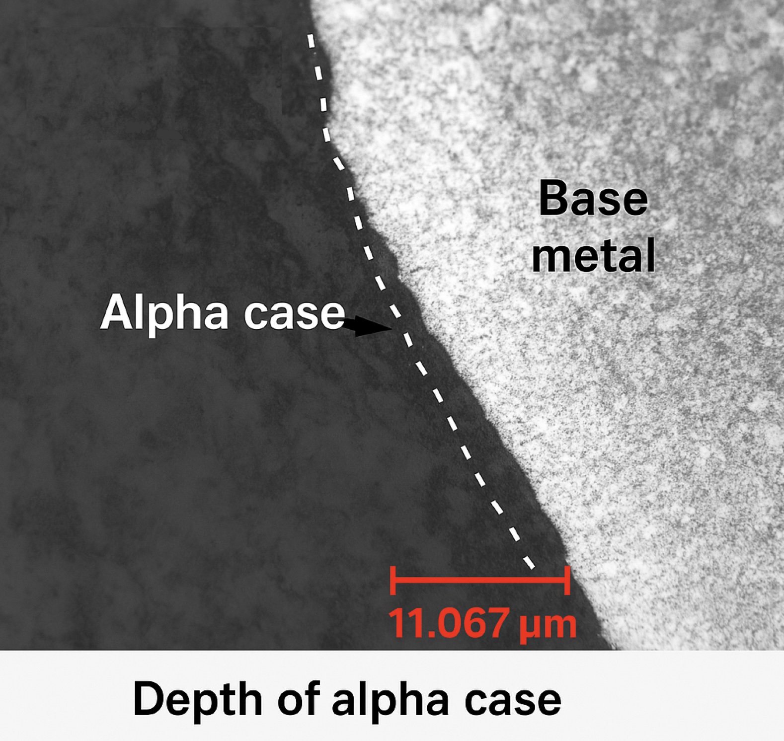 Alpha Case 3