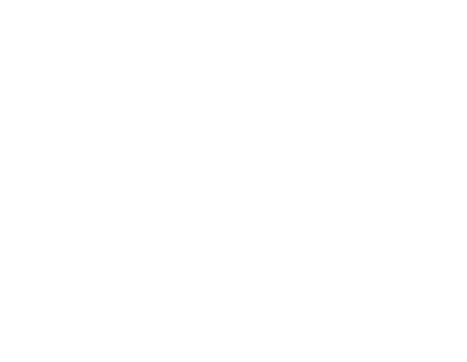 Strategy Icon White