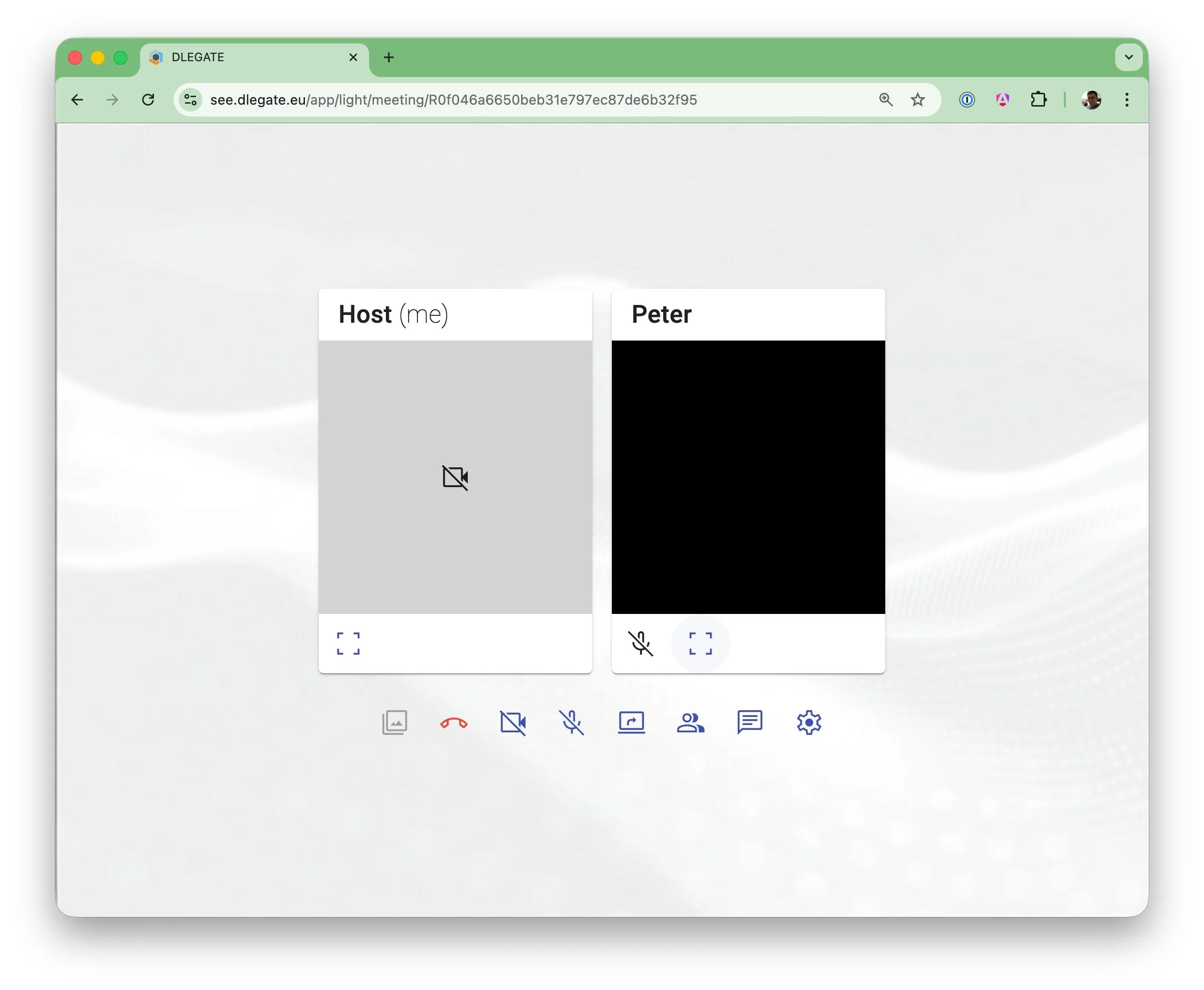 DLEGATE video session - connect with video