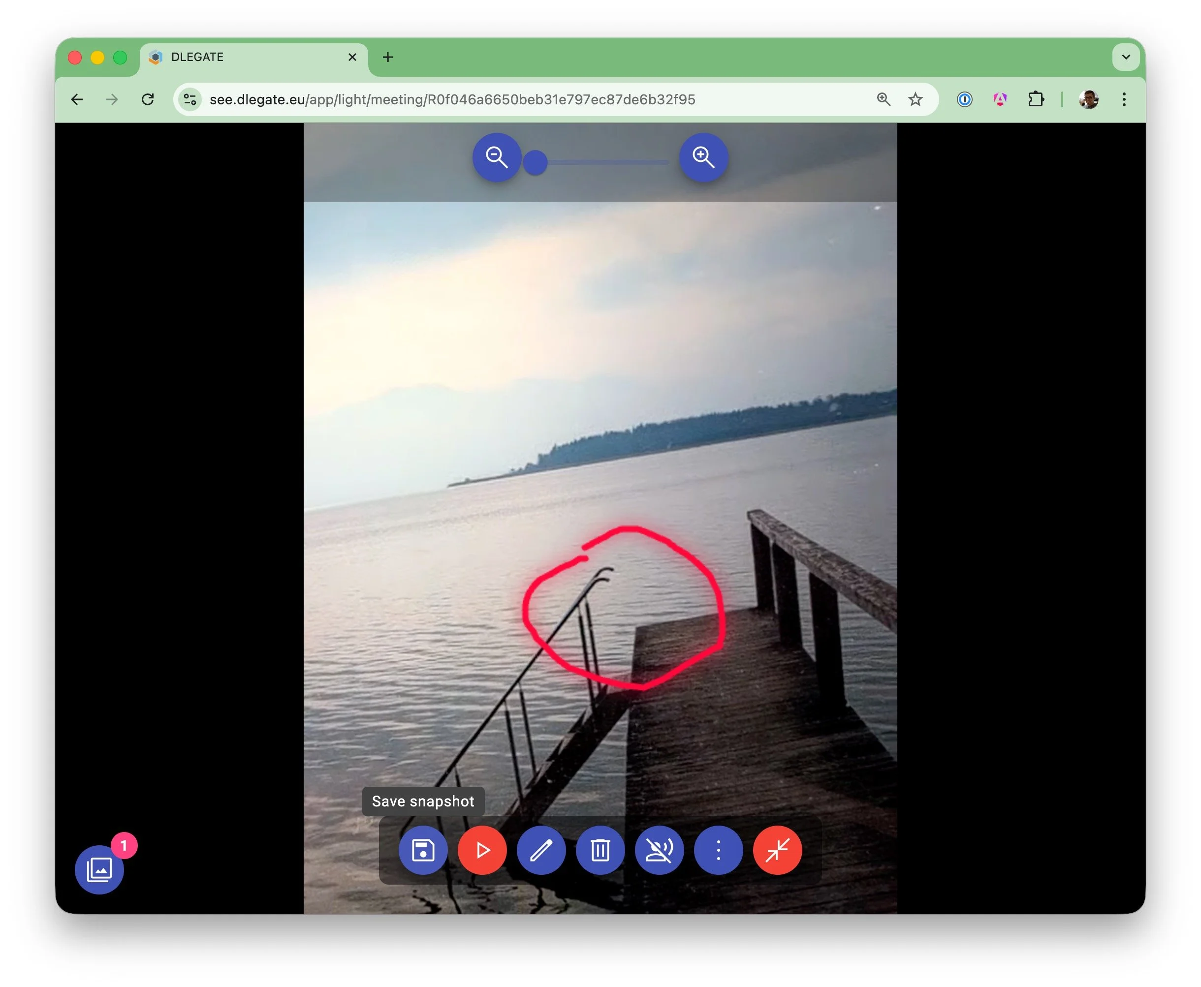 DLEGATE video session - annotate live