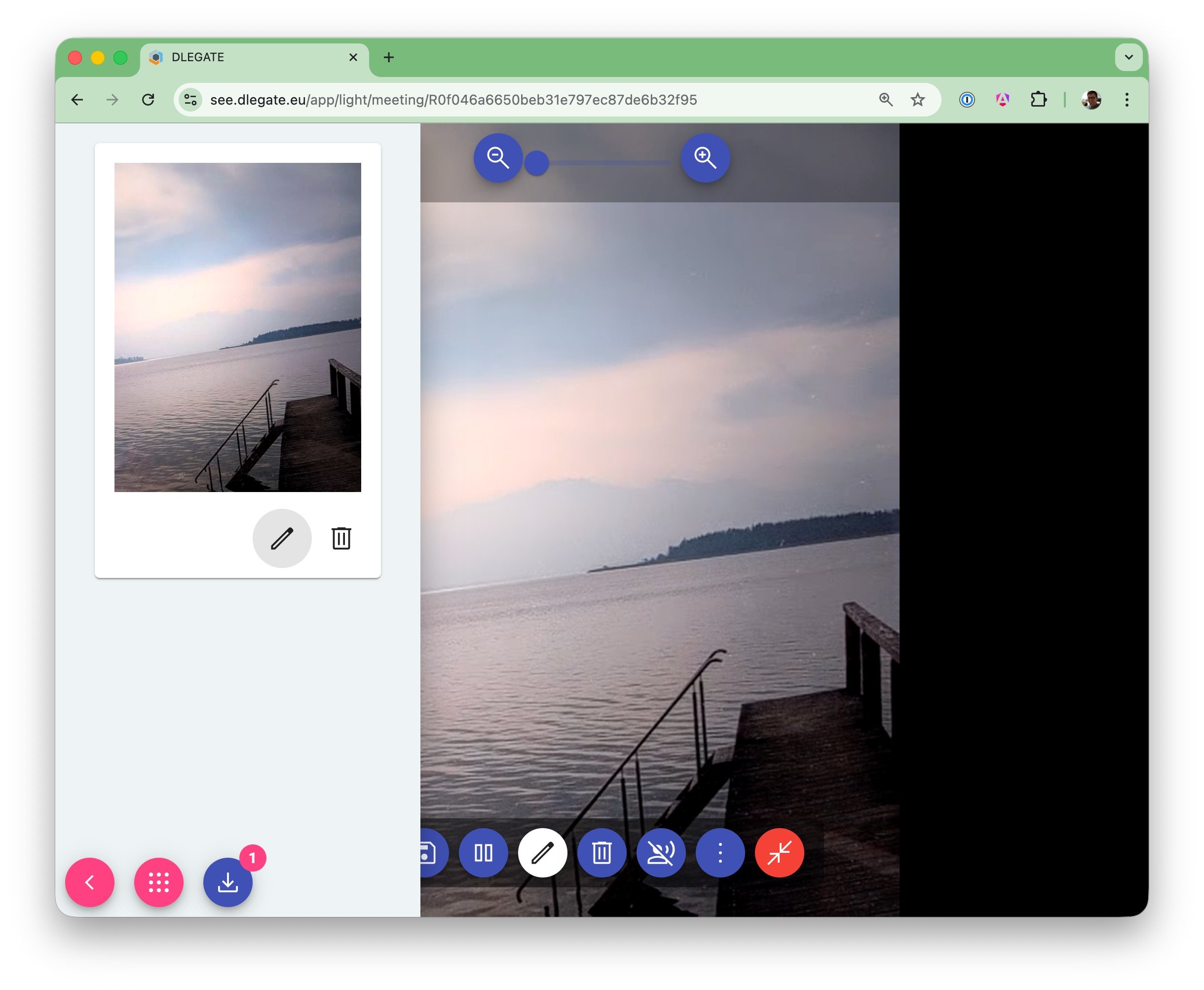 DLEGATE video session - manage captures