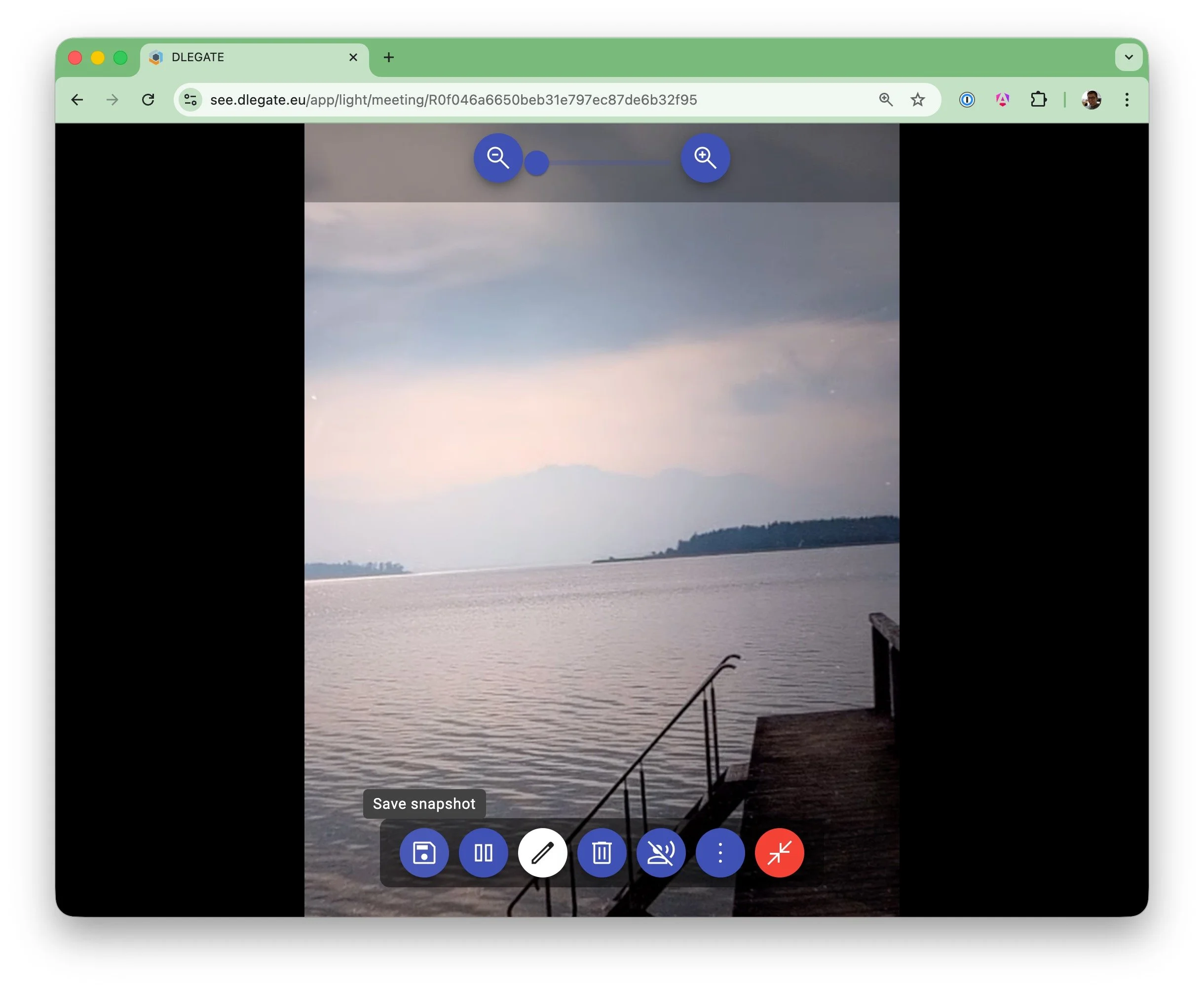 DLEGATE video session - save snapshot