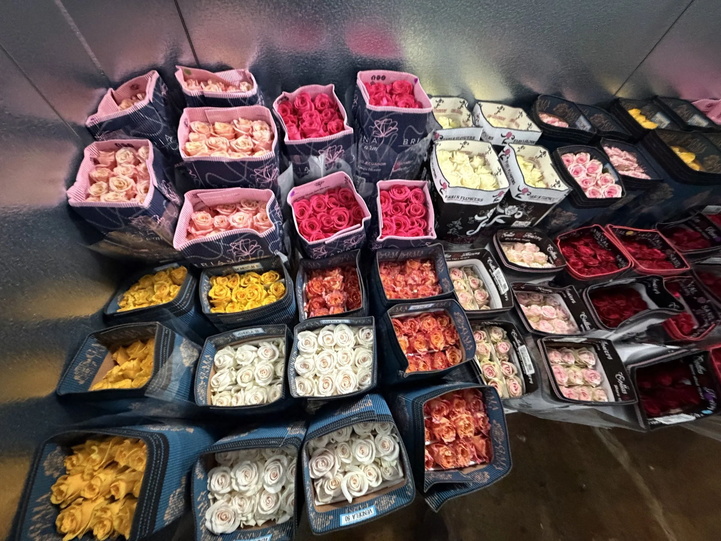Fresh roses in assorted colors in the flower cooler at The Strike Team Flowers.