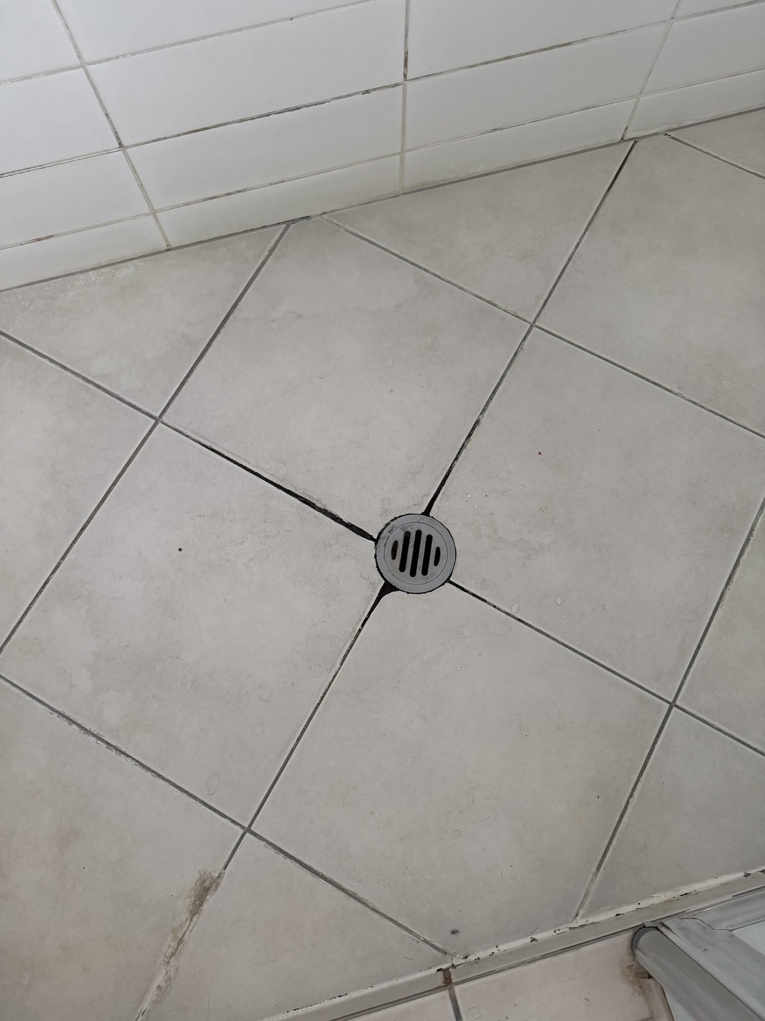 The old shower floor waste in the Patterson Street ensuite, Sandringham, before the leak was traced