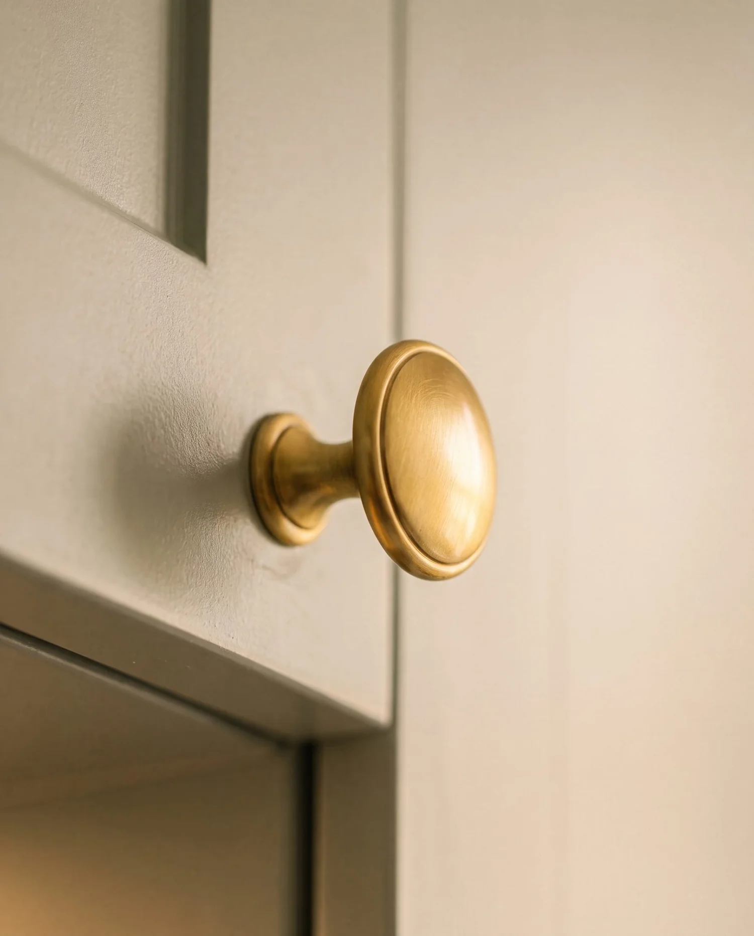 ABI Interiors brushed brass cabinet knob on Dezignatek Pistachio shaker door