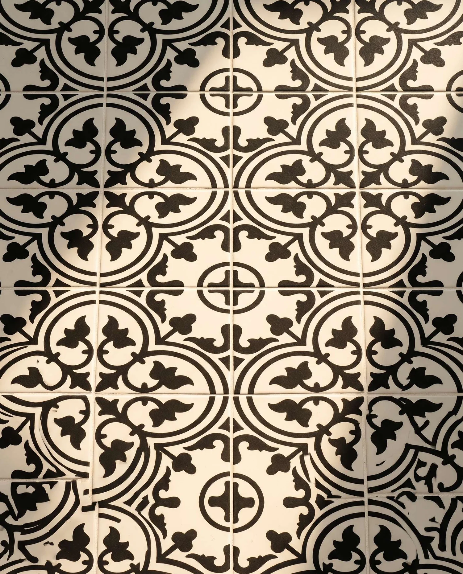 Black and white encaustic pattern tile detail in the Merani Street laundry, Belmont