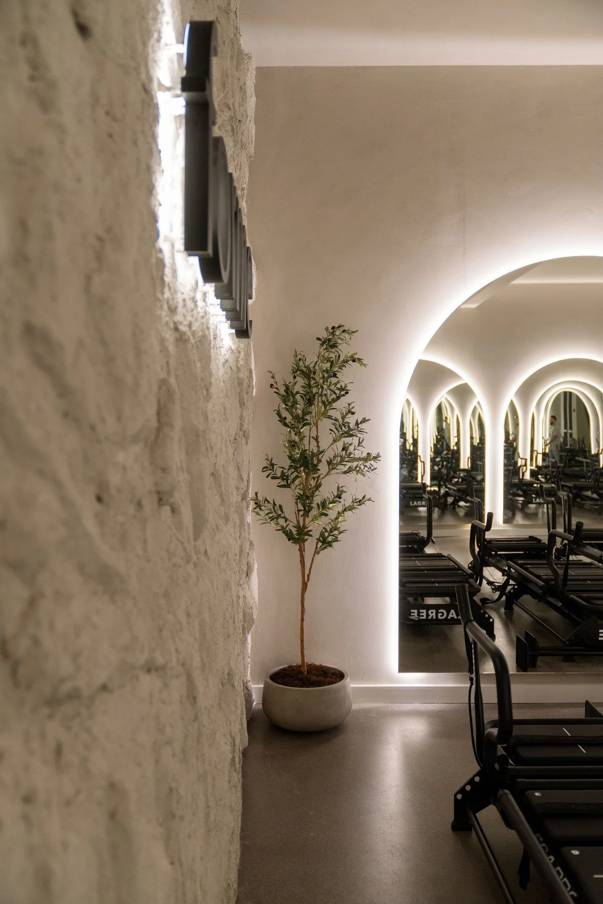 Textured plaster wall beside a lit arch mirror and an olive tree