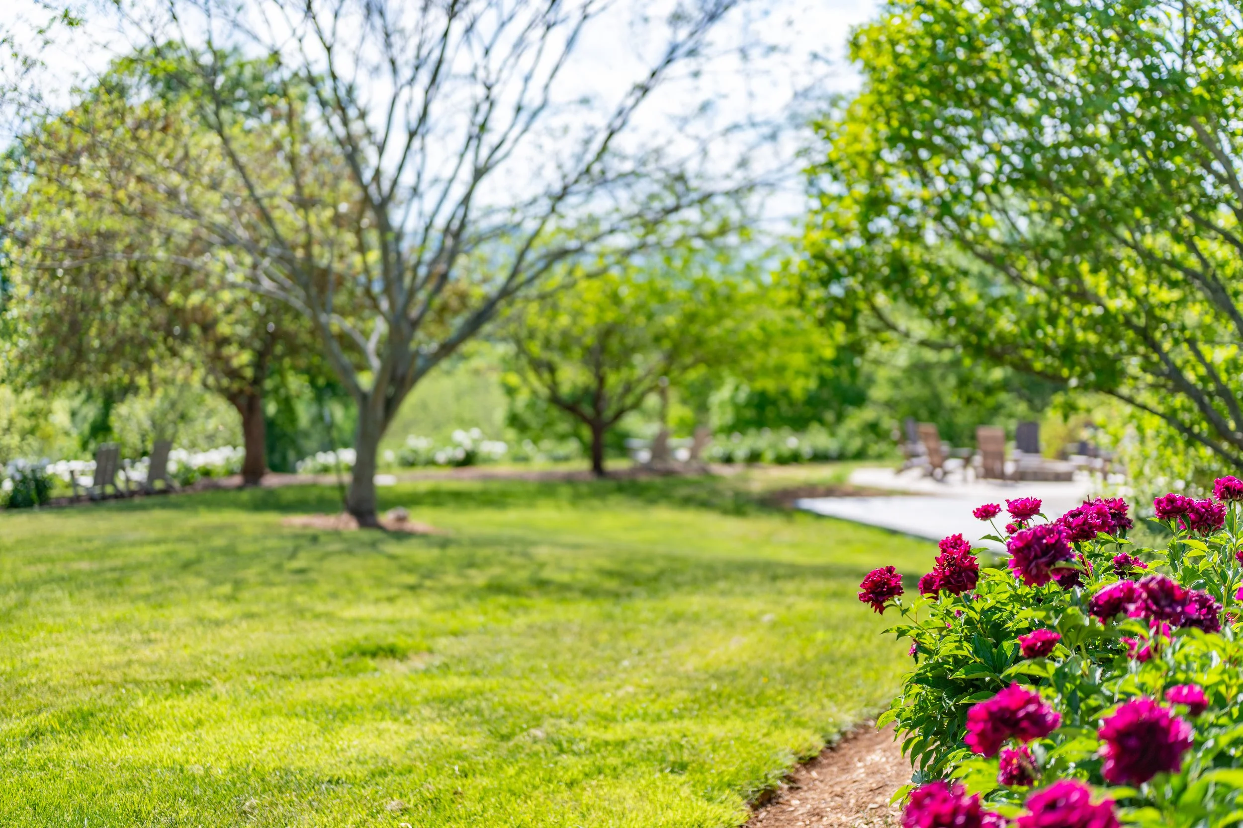 Styled picnic on the grounds at Peony Hill