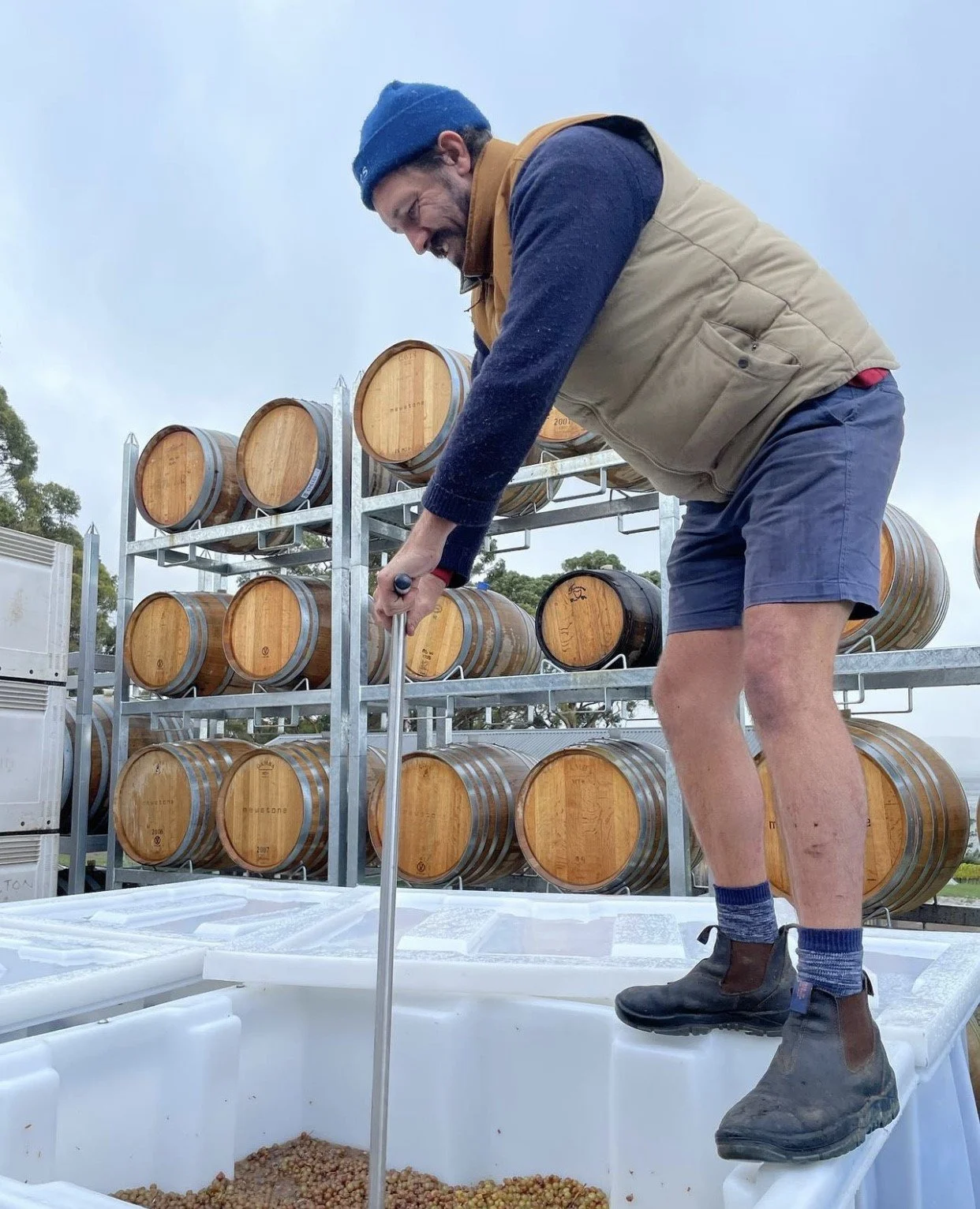 Sonnen Wines