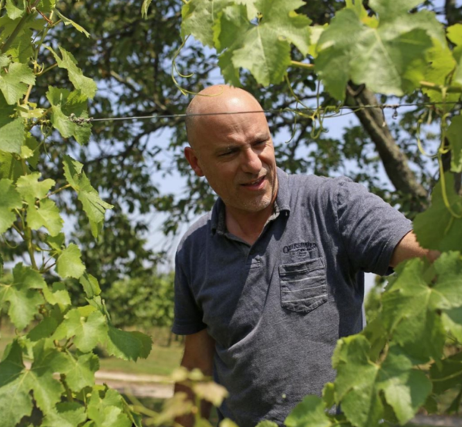 Christophe Pueyo at Vignobles Pueyo, Saint-Émilion, Bordeaux