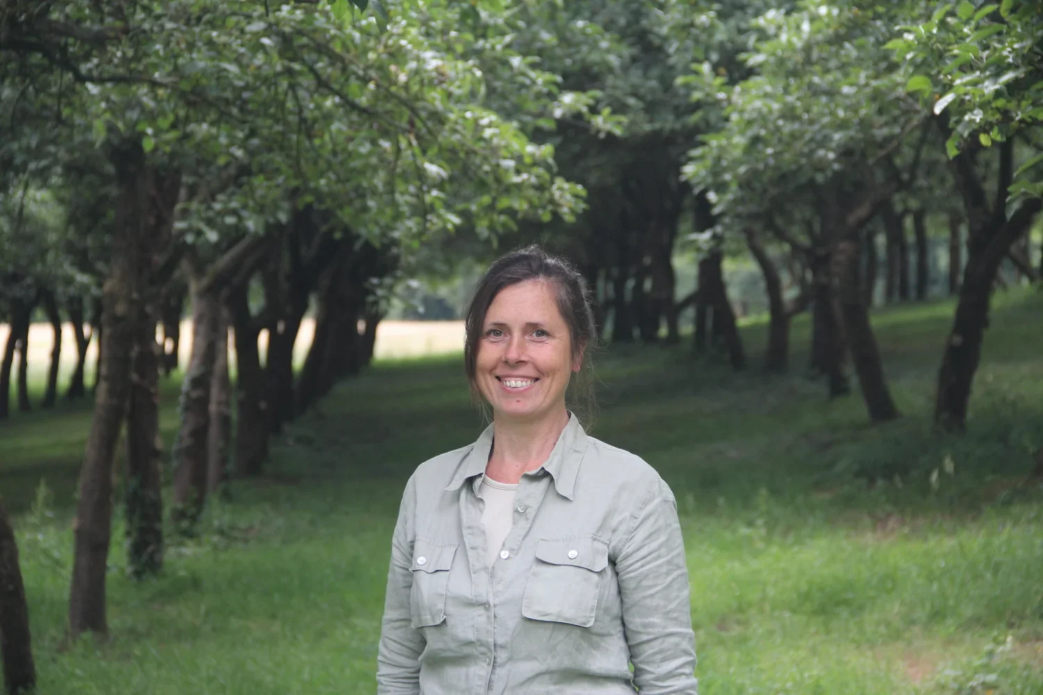 Domaine Johanna Cécillon Cidre