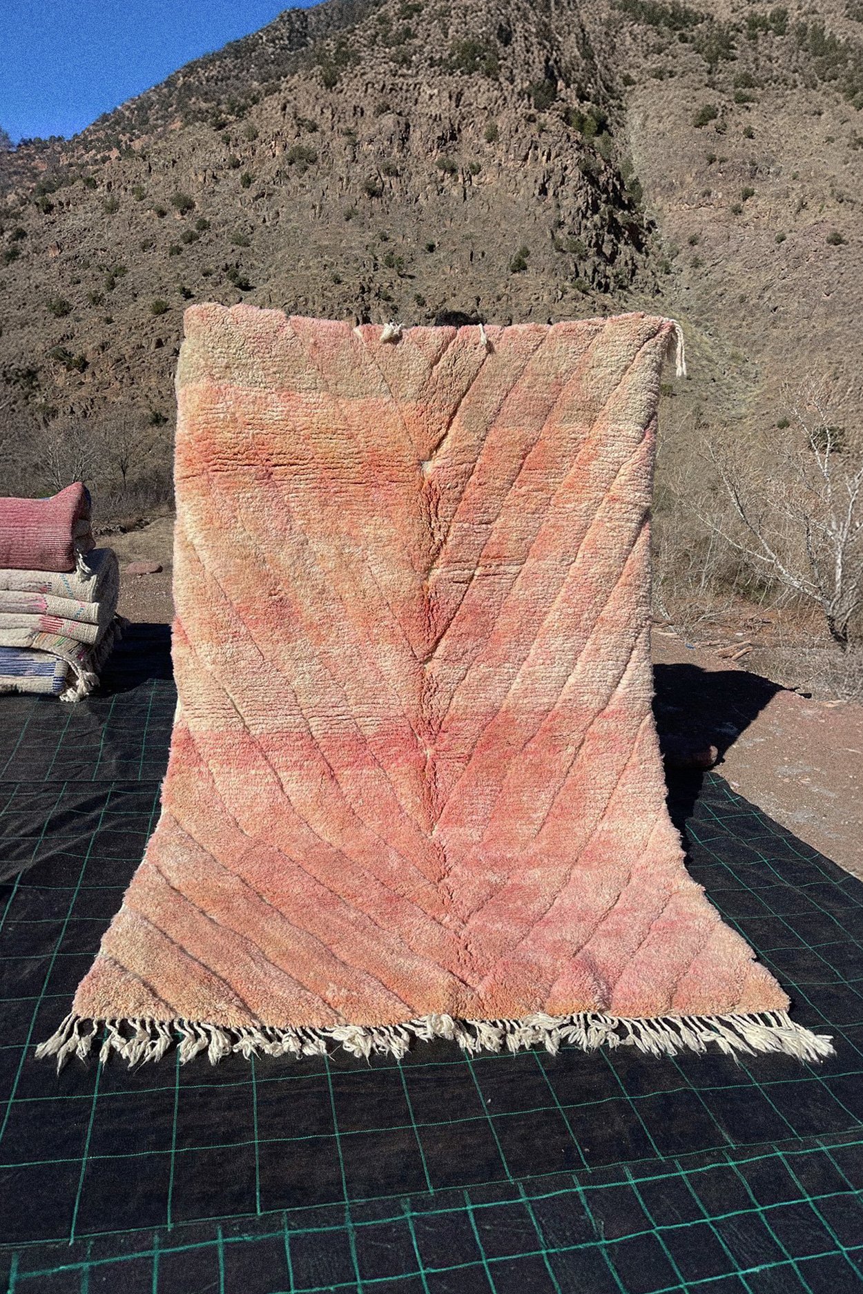 Rug 250101 – 250 × 165 cm