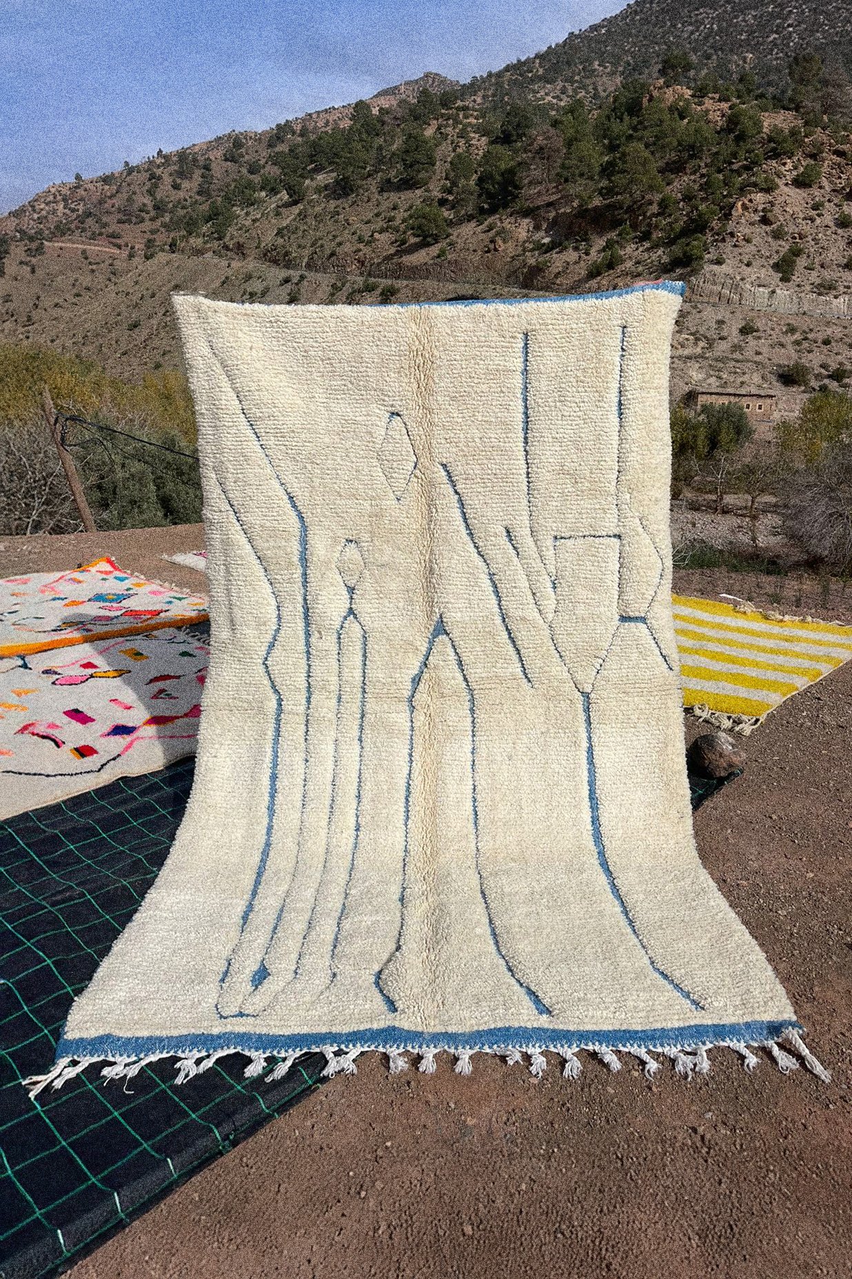 Rug 240118 – 250 × 156 cm