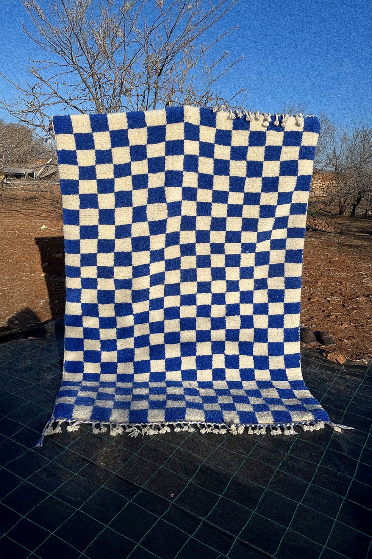 Rug 250102 – 216 × 152 cm