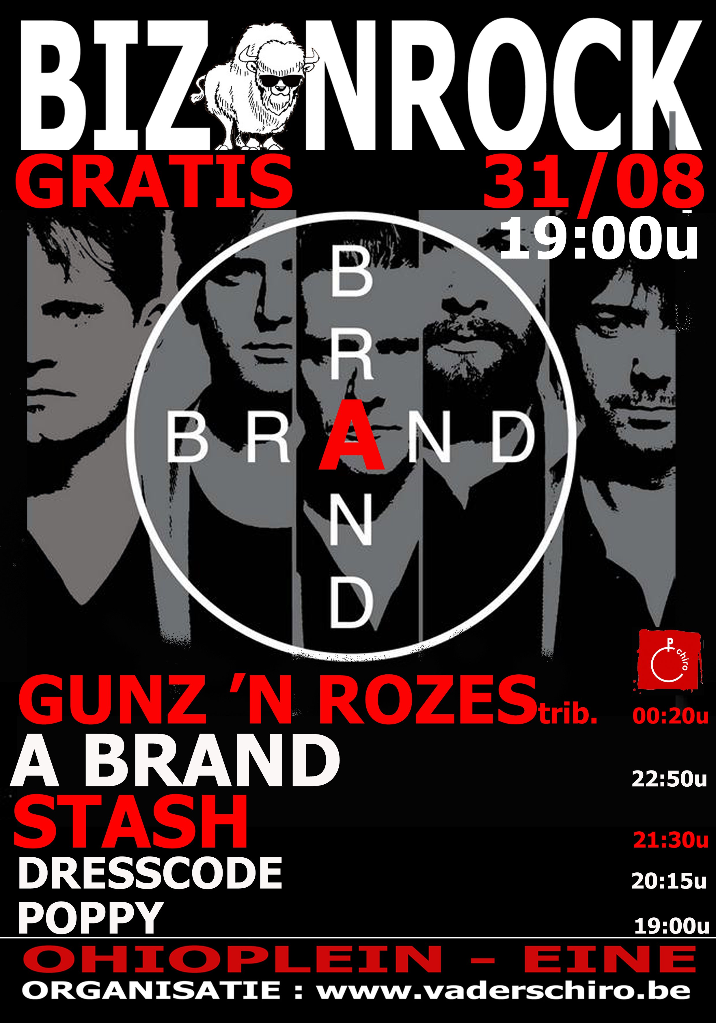 Affiche Bizonrock 2013