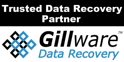 Data recovery partner graphic