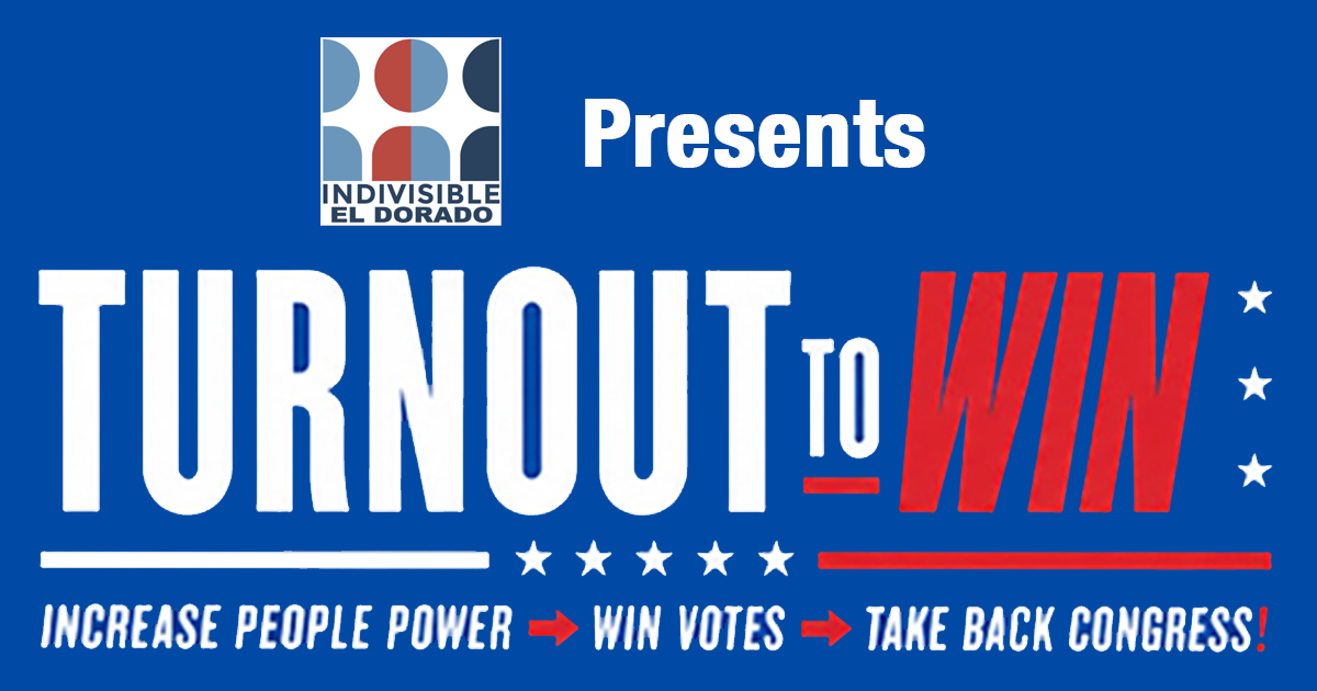 Turn Out To Win Banner